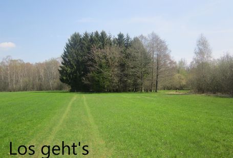 Futterwiese 2013